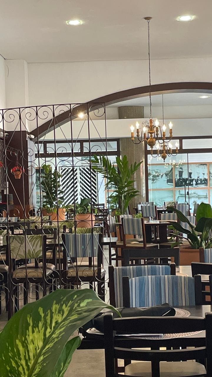 Salão do Nikola's visto entre as plantas, com as cadeiras listradas